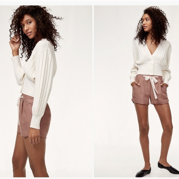 Wilfred Pants - Wilfred Allegra Brown Shorts w/Ribbon Belt Size 0
